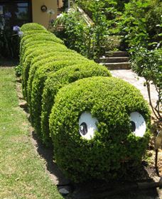 Nutcote - May Gibbs' Home - House Museum - Accommodation Resorts 0