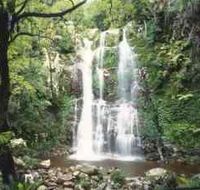 Budderoo National Park - The Falls Walk - Accommodation Resorts