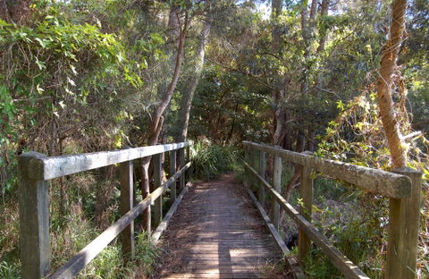 Lake Macquarie State Conservation Area - Accommodation Resorts 2