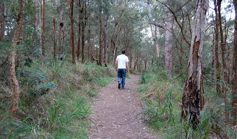 Lake Macquarie State Conservation Area - Accommodation Resorts 3