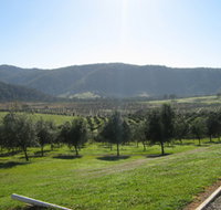 Hastings Valley Olives - Accommodation Resorts