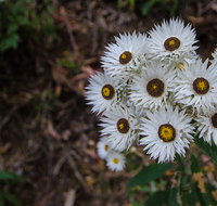 Hastings Forest Way touring route - Accommodation Resorts