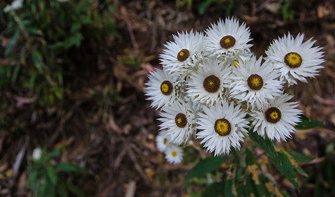 Hastings Forest Way Touring Route - Accommodation Resorts 0