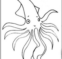 Squid Studio - Accommodation Resorts