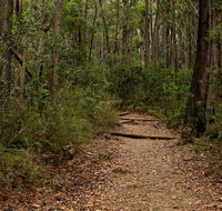 Pigeon House Mountain Didthul walking track - Accommodation Resorts