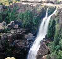 Minnamurra Rainforest Centre Budderoo National Park - Accommodation Resorts
