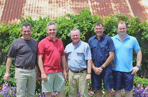 Tyrrells Vineyards - Accommodation Resorts 5