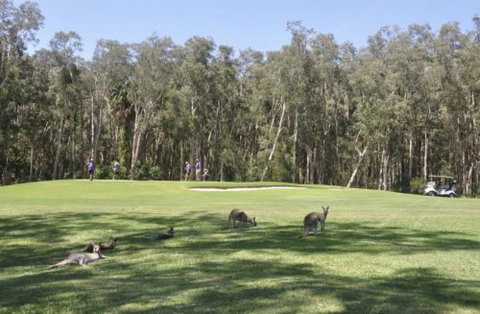 Emerald Downs Golf Course - Accommodation Resorts 4
