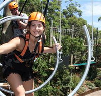Wild Ropes at Taronga Zoo - Accommodation Resorts