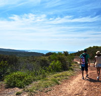 Moonee Beach trail - Accommodation Resorts