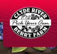 Clyde River Berry Farm - Accommodation Resorts