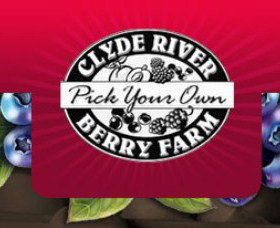 Clyde River Berry Farm - Accommodation Resorts 0