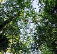 Botanic walk - Accommodation Resorts