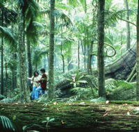 Illinbah circuit - Accommodation Resorts