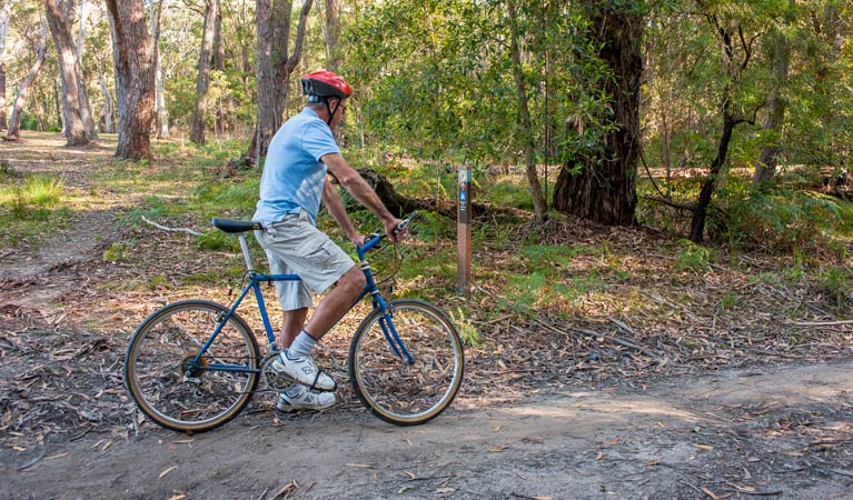 Bendalong NSW Accommodation Resorts