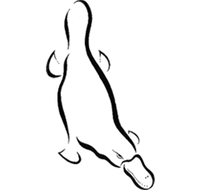 Platypus Gallery - Accommodation Resorts