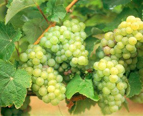 Marlee NSW Accommodation Resorts