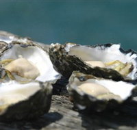 Jim Wilds Oyster Service - Accommodation Resorts