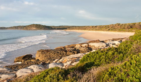 Burrawang Track - Conjola Beach To Buckleys Point - Accommodation Resorts 0