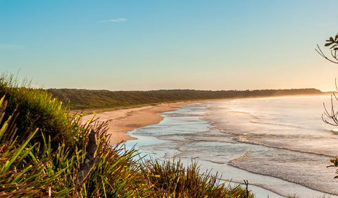 Burrawang Track - Conjola Beach To Buckleys Point - Accommodation Resorts 2