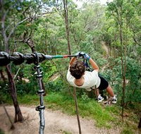 TreeTop Challenge - Accommodation Resorts
