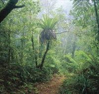 Wagawn - Accommodation Resorts