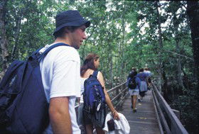 Wagawn - Accommodation Resorts 1