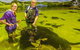 Irukandji Shark And Ray Encounters - thumb 3