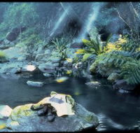 Coomera circuit - Accommodation Resorts