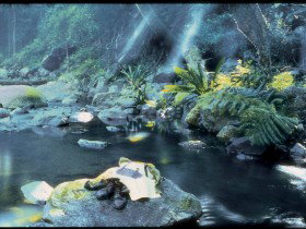 Coomera Circuit - Accommodation Resorts 0