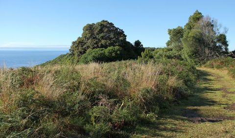 Pretty Beach To Durras Mountain Walking Track - Accommodation Resorts 2