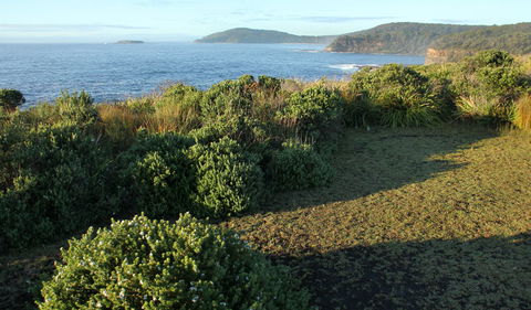 Pretty Beach To Durras Mountain Walking Track - Accommodation Resorts 3