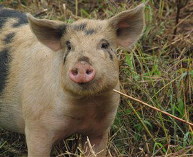 Bent On Food Cookery School - Accommodation Resorts 5