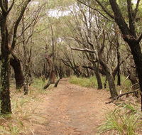 Pretty Beach to Snapper Point walking track - Accommodation Resorts
