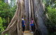 Wingham Brush Nature Reserve - thumb 1
