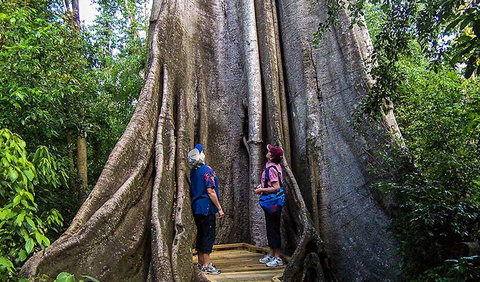 Wingham Brush Nature Reserve - Accommodation Resorts 1