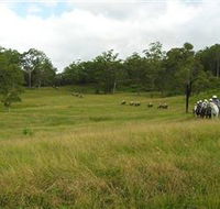 Numinbah Valley Adventure Trails - Accommodation Resorts