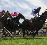 Moruya Racecourse - Accommodation Resorts