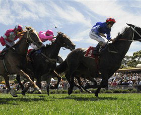 Moruya Racecourse - Accommodation Resorts 0
