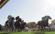 Moruya Racecourse - thumb 1