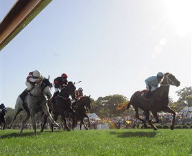 Moruya Racecourse - Accommodation Resorts 1