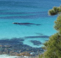 Jervis Bay Marine Park - Accommodation Resorts