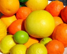 Fruit Salad Tree Company - Accommodation Resorts 2