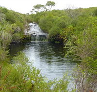 Booderee National Park Green Patch and Telegraph Creek Walking Tracks - Accommodation Resorts