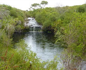 Booderee National Park: Green Patch And Telegraph Creek Walking Tracks - Accommodation Resorts 0
