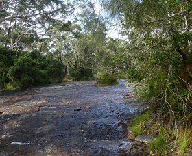 Booderee National Park: Green Patch And Telegraph Creek Walking Tracks - Accommodation Resorts 2
