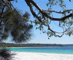 Booderee National Park: Green Patch And Telegraph Creek Walking Tracks - Accommodation Resorts 6