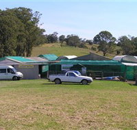 Tinonee Orchid Nursery - Accommodation Resorts