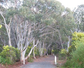 Booderee National Park: Munyunga Waraga Dhugan Walking Trail - Accommodation Resorts 3