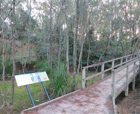 Booderee National Park: Munyunga Waraga Dhugan Walking Trail - Accommodation Resorts 8